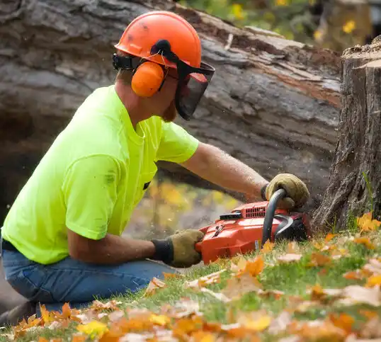 tree services Inwood